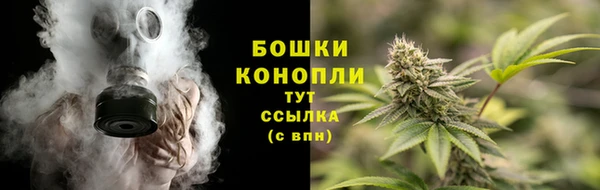 соль ск Зеленодольск