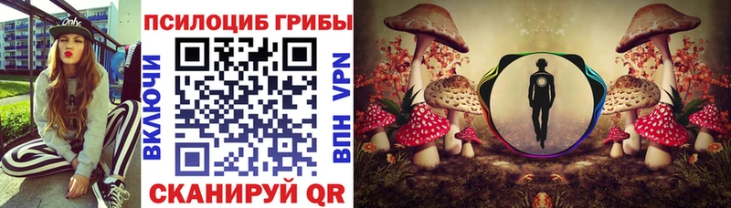 Купить  Сальск  Псилоцибиновые грибы Cubensis 