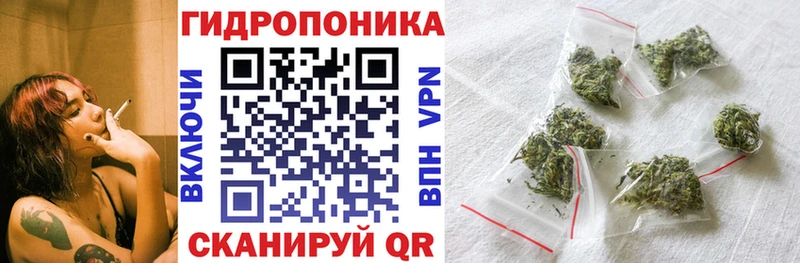 Купить закладки  Сальск  Конопля Ganja 